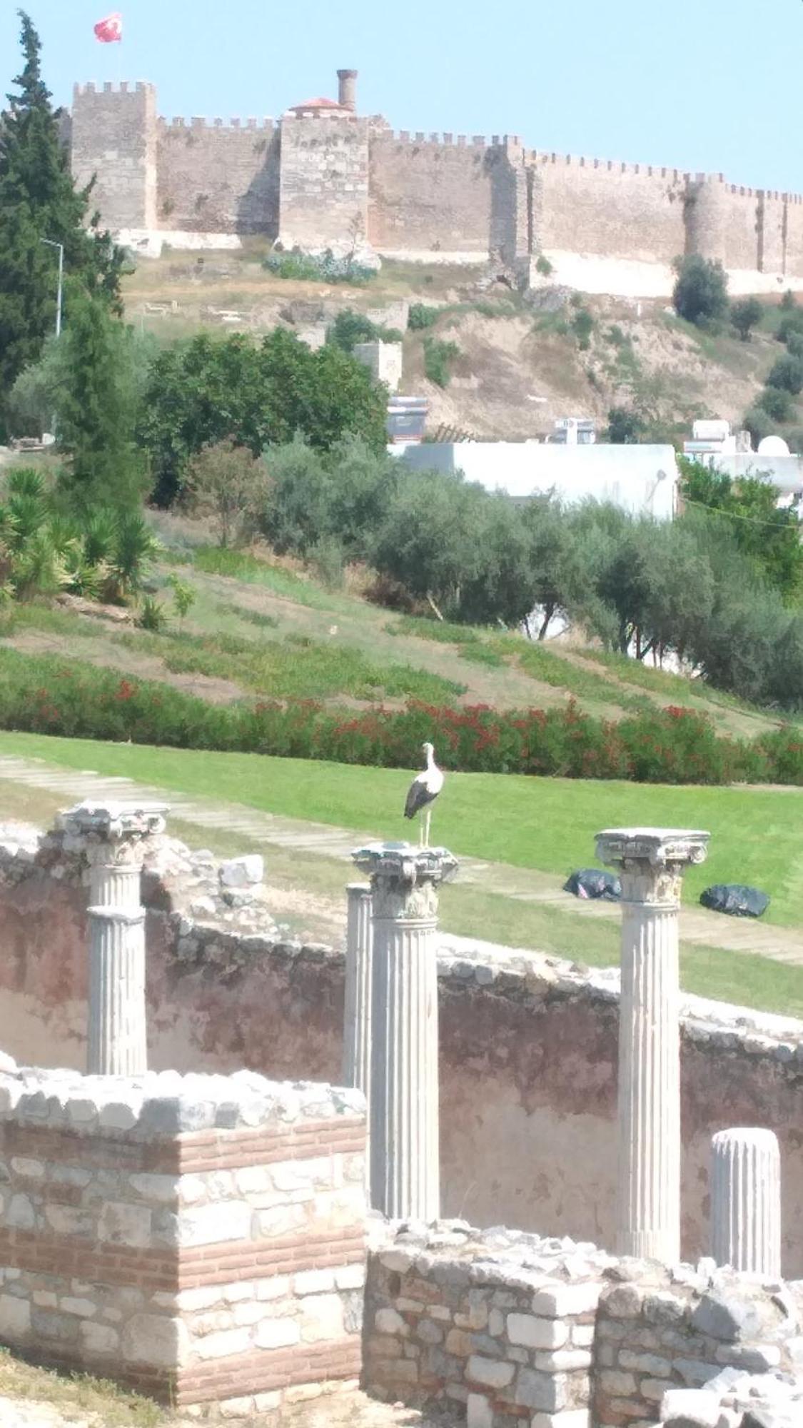 Ephesus Selcuk Castle View Suites Екстериор снимка