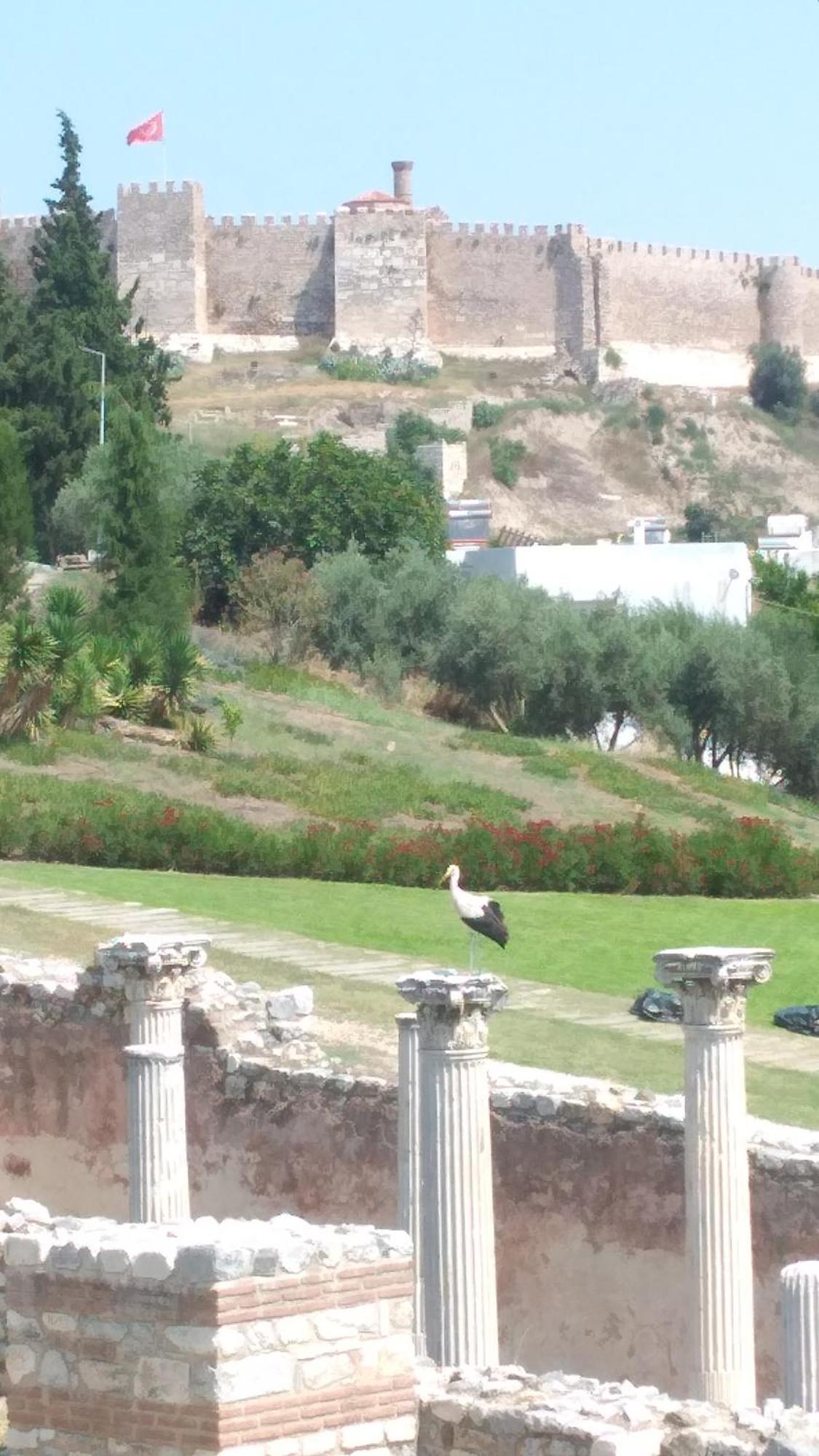 Ephesus Selcuk Castle View Suites Екстериор снимка